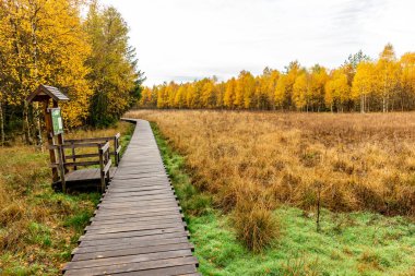 Schwarzen Mağribi - Fladungen - Bavyera yakınlarındaki Rhn 'de kış gezisi