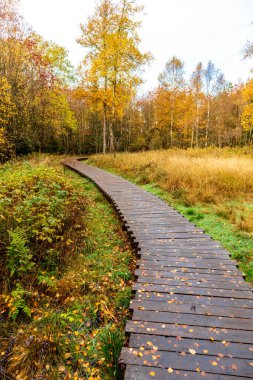 Schwarzen Mağribi - Fladungen - Bavyera yakınlarındaki Rhn 'de kış gezisi