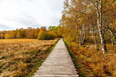 Schwarzen Mağribi - Fladungen - Bavyera yakınlarındaki Rhn 'de kış gezisi