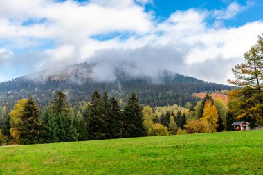 Yaz keşfi turu Steinbach-Hallenberg yakınlarındaki Thuringian Ormanı 'nda