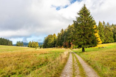 Yaz keşfi turu Steinbach-Hallenberg yakınlarındaki Thuringian Ormanı 'nda