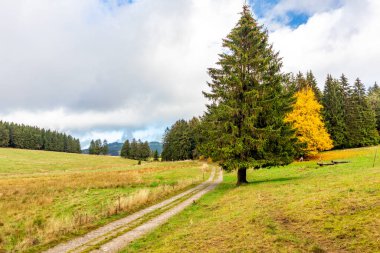 Yaz keşfi turu Steinbach-Hallenberg yakınlarındaki Thuringian Ormanı 'nda