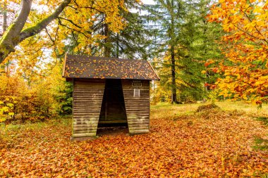 Yaz keşfi turu Steinbach-Hallenberg yakınlarındaki Thuringian Ormanı 'nda