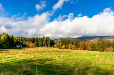 Yaz keşfi turu Steinbach-Hallenberg yakınlarındaki Thuringian Ormanı 'nda