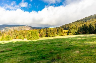 Yaz keşfi turu Steinbach-Hallenberg yakınlarındaki Thuringian Ormanı 'nda