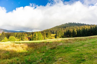 Yaz keşfi turu Steinbach-Hallenberg yakınlarındaki Thuringian Ormanı 'nda