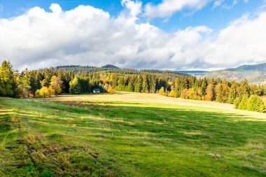 Yaz keşfi turu Steinbach-Hallenberg yakınlarındaki Thuringian Ormanı 'nda