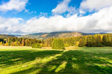 Yaz keşfi turu Steinbach-Hallenberg yakınlarındaki Thuringian Ormanı 'nda