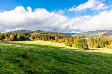 Yaz keşfi turu Steinbach-Hallenberg yakınlarındaki Thuringian Ormanı 'nda
