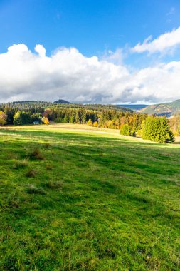 Yaz keşfi turu Steinbach-Hallenberg yakınlarındaki Thuringian Ormanı 'nda