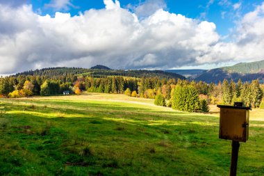 Yaz keşfi turu Steinbach-Hallenberg yakınlarındaki Thuringian Ormanı 'nda