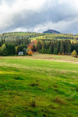 Yaz keşfi turu Steinbach-Hallenberg yakınlarındaki Thuringian Ormanı 'nda