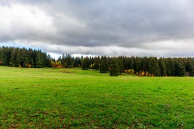 Yaz keşfi turu Steinbach-Hallenberg yakınlarındaki Thuringian Ormanı 'nda
