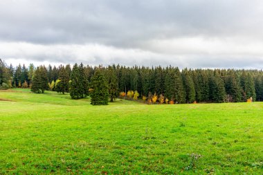 Yaz keşfi turu Steinbach-Hallenberg yakınlarındaki Thuringian Ormanı 'nda