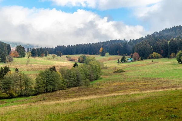 Летняя Экскурсия Тюрингскому Лесу Недалеко Штайнбах Халленберг Тюрингия — стоковое фото