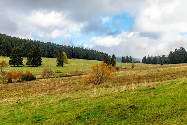 Sommer Entdeckungstour Durch Den Thüringer Wald Bei Steinbach Hallenberg Thüringen — Stockfoto