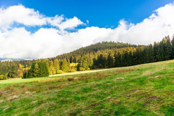 Letní Prohlídka Durynského Lesa Steinbachu Hallenbergu Durynsko — Stock fotografie