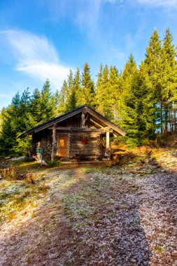 Oberhof, Thüringen, Almanya yakınlarındaki Thüringen Ormanı 'nda sonbahar keşfi turu