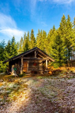 Oberhof, Thüringen, Almanya yakınlarındaki Thüringen Ormanı 'nda sonbahar keşfi turu