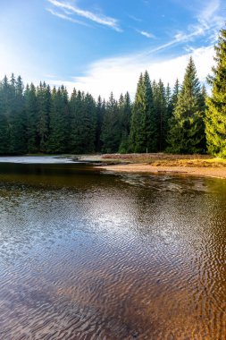 Oberhof, Thüringen, Almanya yakınlarındaki Thüringen Ormanı 'nda sonbahar keşfi turu