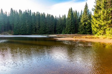 Oberhof, Thüringen, Almanya yakınlarındaki Thüringen Ormanı 'nda sonbahar keşfi turu
