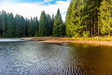 Oberhof, Thüringen, Almanya yakınlarındaki Thüringen Ormanı 'nda sonbahar keşfi turu