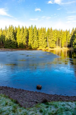 Oberhof, Thüringen, Almanya yakınlarındaki Thüringen Ormanı 'nda sonbahar keşfi turu