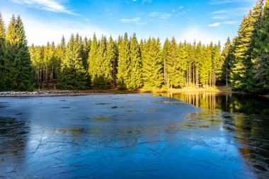 Oberhof, Thüringen, Almanya yakınlarındaki Thüringen Ormanı 'nda sonbahar keşfi turu