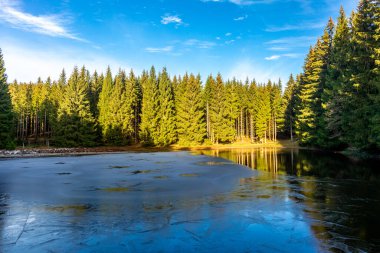 Oberhof, Thüringen, Almanya yakınlarındaki Thüringen Ormanı 'nda sonbahar keşfi turu