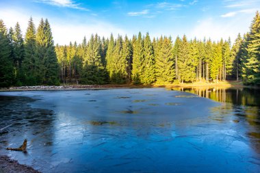 Oberhof, Thüringen, Almanya yakınlarındaki Thüringen Ormanı 'nda sonbahar keşfi turu