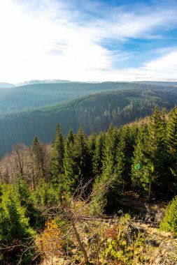 Oberhof, Thüringen, Almanya yakınlarındaki Thüringen Ormanı 'nda sonbahar keşfi turu