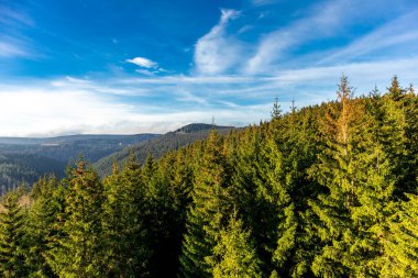 Oberhof, Thüringen, Almanya yakınlarındaki Thüringen Ormanı 'nda sonbahar keşfi turu