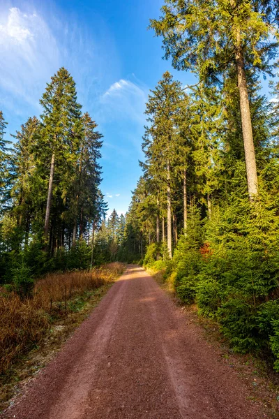 Φθινοπωρινή Περιήγηση Στο Δάσος Της Θουριγγίας Κοντά Στο Oberhof Θουριγγία — Φωτογραφία Αρχείου