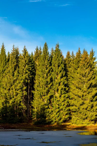 Oberhof, Thüringen, Almanya yakınlarındaki Thüringen Ormanı 'nda sonbahar keşfi turu