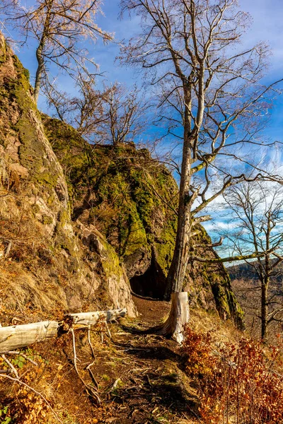 Φθινοπωρινή Περιήγηση Στο Δάσος Της Θουριγγίας Κοντά Στο Oberhof Θουριγγία — Φωτογραφία Αρχείου