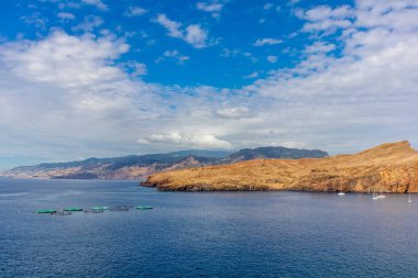 Çiçek adasındaki yolda Madeira ve çok yönlü manzarası - Madeira - Portekiz 
