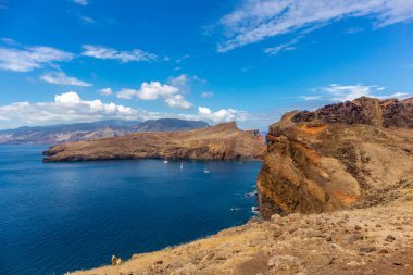 Çiçek adasındaki yolda Madeira ve çok yönlü manzarası - Madeira - Portekiz 