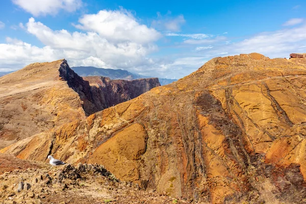 Çiçek adasındaki yolda Madeira ve çok yönlü manzarası - Madeira - Portekiz 