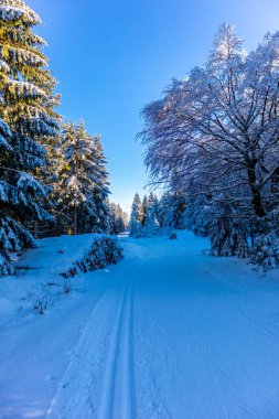 Oberhof yakınlarındaki Thuringian Ormanı 'nın tepelerinde güzel bir kış manzarası.
