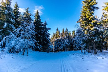 Oberhof yakınlarındaki Thuringian Ormanı 'nın tepelerinde güzel bir kış manzarası.
