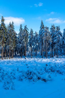 Oberhof yakınlarındaki Thuringian Ormanı 'nın tepelerinde güzel bir kış manzarası.