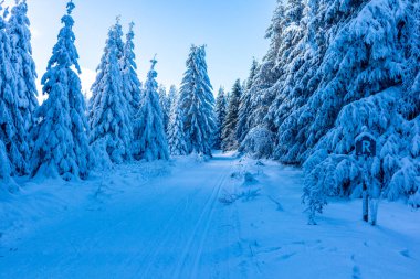 Oberhof yakınlarındaki Thuringian Ormanı 'nın tepelerinde güzel bir kış manzarası.