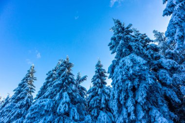 Oberhof yakınlarındaki Thuringian Ormanı 'nın tepelerinde güzel bir kış manzarası.