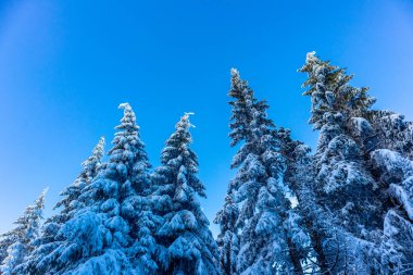 Oberhof yakınlarındaki Thuringian Ormanı 'nın tepelerinde güzel bir kış manzarası.
