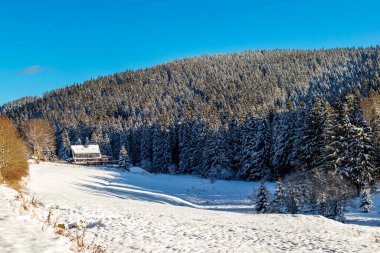 Oberhof yakınlarındaki Thuringian Ormanı 'nın tepelerinde güzel bir kış manzarası.