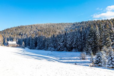 Oberhof yakınlarındaki Thuringian Ormanı 'nın tepelerinde güzel bir kış manzarası.
