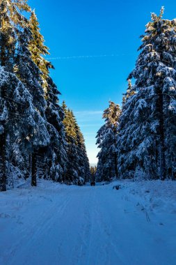 Oberhof yakınlarındaki Thuringian Ormanı 'nın tepelerinde güzel bir kış manzarası.