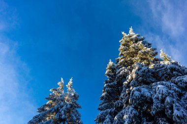 Oberhof yakınlarındaki Thuringian Ormanı 'nın tepelerinde güzel bir kış manzarası.
