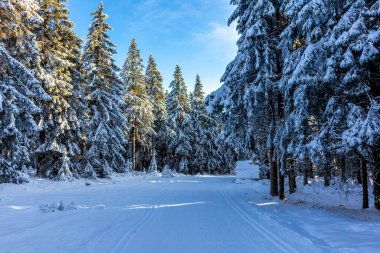 Oberhof yakınlarındaki Thuringian Ormanı 'nın tepelerinde güzel bir kış manzarası.