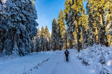 Oberhof yakınlarındaki Thuringian Ormanı 'nın tepelerinde güzel bir kış manzarası.
